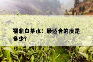 福鼎白茶水：最适合的度是多少？