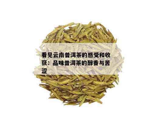 看见云南普洱茶的感受和收获：品味普洱茶的醇香与苦涩