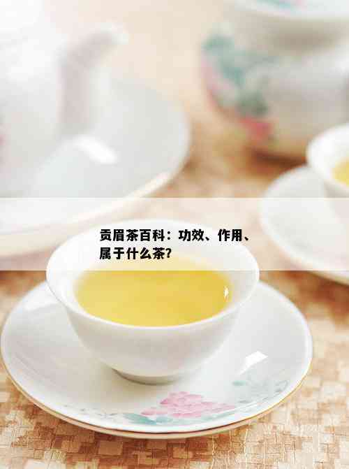 贡眉茶百科：功效、作用、属于什么茶？