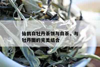 仙鹤白牡丹茶饼与白茶，与牡丹图的完美结合