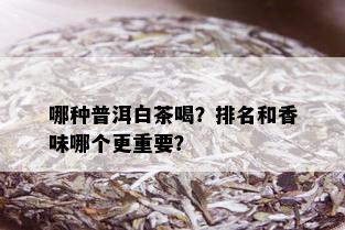 哪种普洱白茶喝？排名和香味哪个更重要？