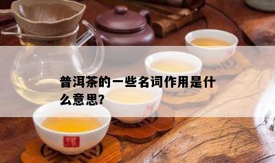 普洱茶的一些名词作用是什么意思？