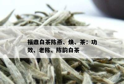 福鼎白茶陈燕、焕、茶：功效、老陈、陈韵白茶