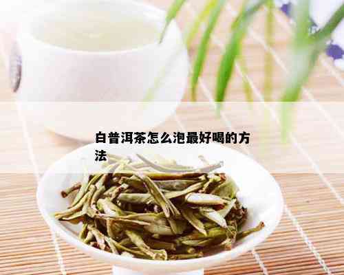 白普洱茶怎么泡更好喝的方法