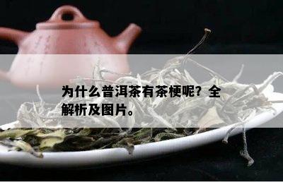 为什么普洱茶有茶梗呢？全解析及图片。