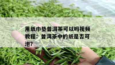 用纸巾垫普洱茶可以吗视频教程：普洱茶中的纸是否可泡？