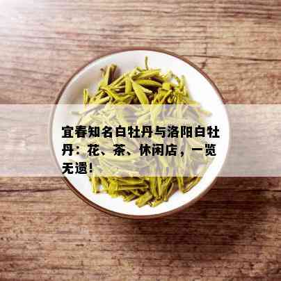 宜春知名白牡丹与洛阳白牡丹：花、茶、休闲店，一览无遗！