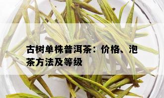 古树单株普洱茶：价格、泡茶方法及等级