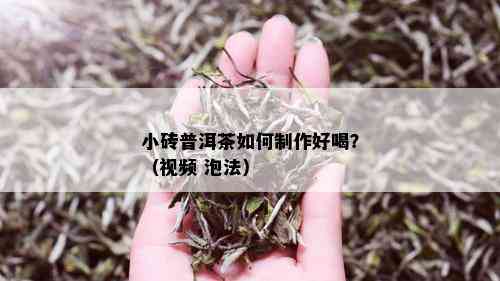 小砖普洱茶如何制作好喝？（视频 泡法）