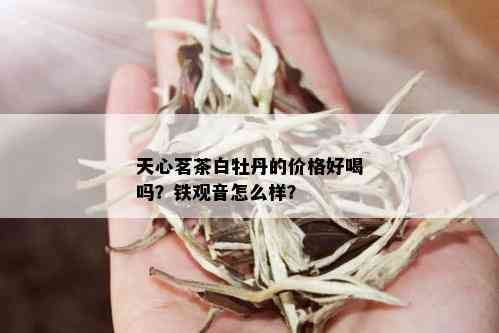 天心茗茶白牡丹的价格好喝吗？铁观音怎么样？