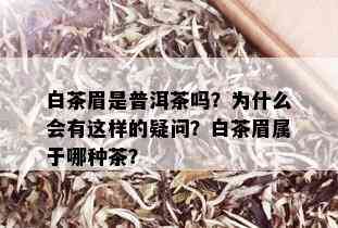 白茶眉是普洱茶吗？为什么会有这样的疑问？白茶眉属于哪种茶？