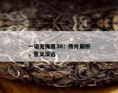 一诺无悔眉30：传片解析，意义深远