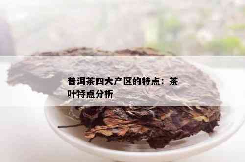 普洱茶四大产区的特点：茶叶特点分析