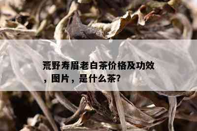 荒野寿眉老白茶价格及功效，图片，是什么茶？