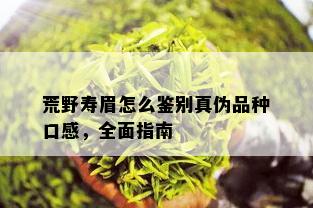 荒野寿眉怎么鉴别真伪品种口感，全面指南