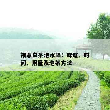 福鼎白茶泡水喝：味道、时间、用量及泡茶方法