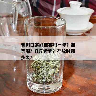 普洱白茶好储存吗一年？能否喝？几斤适宜？存放时间多久？