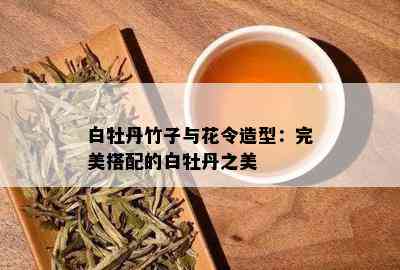 白牡丹竹子与花令造型：完美搭配的白牡丹之美