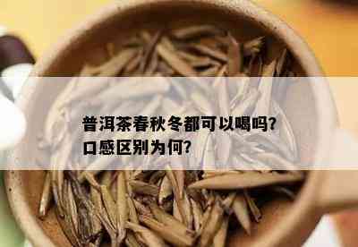 普洱茶春秋冬都可以喝吗？口感区别为何？