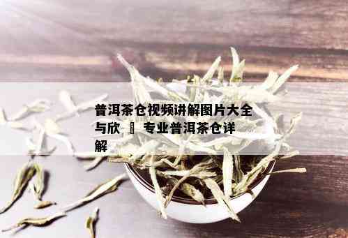 普洱茶仓视频讲解图片大全与欣 – 专业普洱茶仓详解