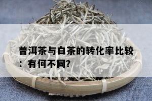 普洱茶与白茶的转化率比较：有何不同？