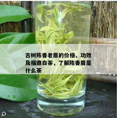 古树陈香老眉的价格、功效及福鼎白茶，了解陈香眉是什么茶