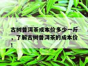 古树普洱茶成本价多少一斤，了解古树普洱茶的成本价！