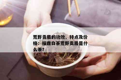 荒野贡眉的功效、特点及价格：福鼎白茶荒野贡眉是什么茶？