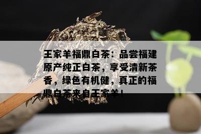 王家羊福鼎白茶：品尝福建原产纯正白茶，享受清新茶香，绿色有机健，真正的福鼎白茶来自王家羊！