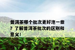 普洱茶哪个批次更好泡一些？了解普洱茶批次的区别和意义！