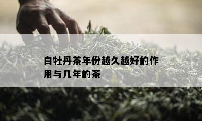 白牡丹茶年份越久越好的作用与几年的茶