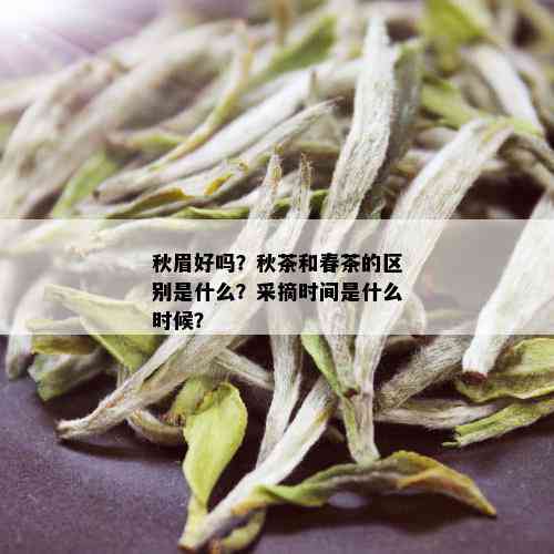 秋眉好吗？秋茶和春茶的区别是什么？采摘时间是什么时候？