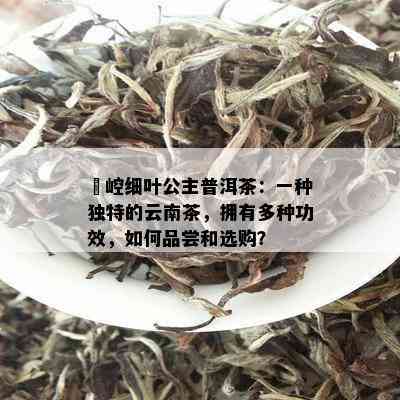 嶍崆细叶公主普洱茶：一种独特的云南茶，拥有多种功效，如何品尝和选购？