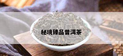 秘境臻品普洱茶