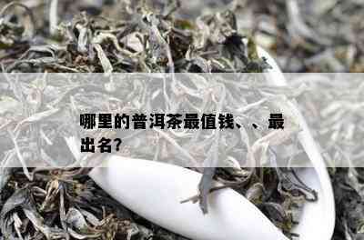 哪里的普洱茶最值钱、、最出名？