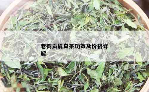 老树贡眉白茶功效及价格详解