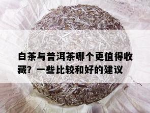 白茶与普洱茶哪个更值得收藏？一些比较和好的建议