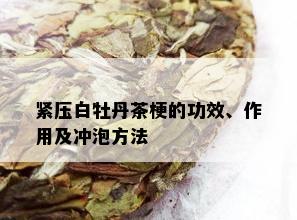 紧压白牡丹茶梗的功效、作用及冲泡方法