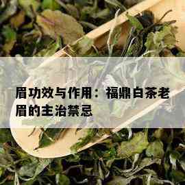 眉功效与作用：福鼎白茶老眉的主治禁忌