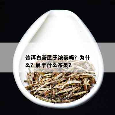 普洱白茶属于浓茶吗？为什么？属于什么茶类？