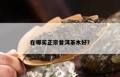 在哪买正宗普洱茶木好？