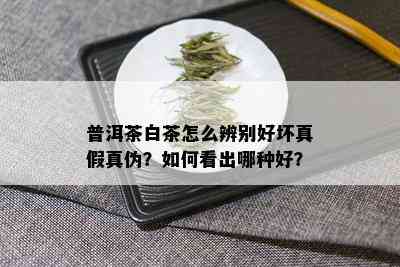 普洱茶白茶怎么辨别好坏真假真伪？如何看出哪种好？