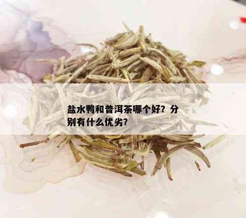 盐水鸭和普洱茶哪个好？分别有什么优劣？