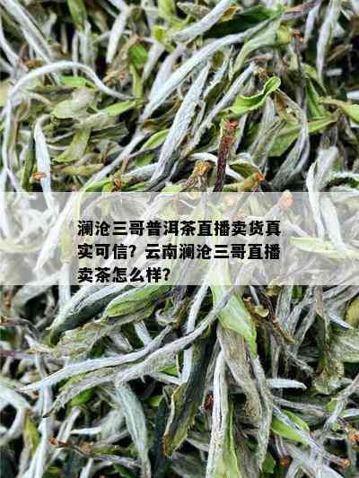 澜沧三哥普洱茶直播卖货真实可信？云南澜沧三哥直播卖茶怎么样？