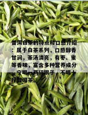 普洱白茶的特点和口感介绍：属于白茶系列，口感醇香甘润，茶汤清亮，有枣、蜜等香味，富含多种营养成分，宁喝一两碎银子，不喝十斤普洱茶。