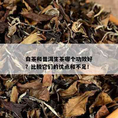 白茶和普洱生茶哪个功效好？比较它们的优点和不足！