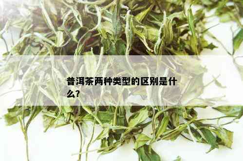 普洱茶两种类型的区别是什么？