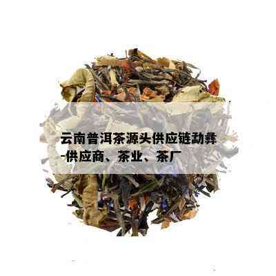 云南普洱茶源头供应链勐彝-供应商、茶业、茶厂