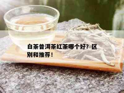 白茶普洱茶红茶哪个好？区别和推荐！