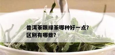 普洱茶跟绿茶哪种好一点？区别有哪些？